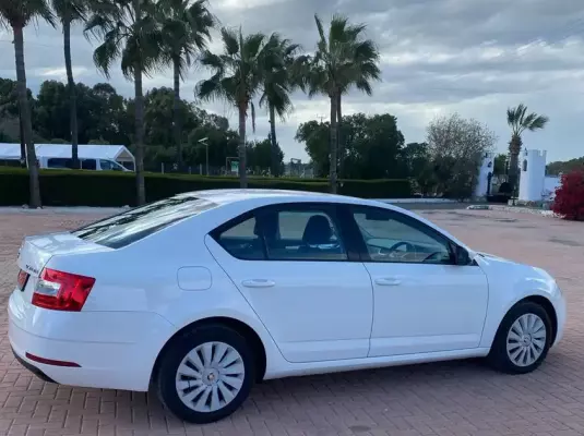 Skoda Octavia &pi;&rho;&omicron;&sigmaf; &epsilon;&nu;&omicron;&iota;&kappa;ί&alpha;&sigma;&eta; &sigma;&tau;&eta;&nu; &Epsilon;&pi;&iota;&sigma;&kappa;&omicron;&pi;ή