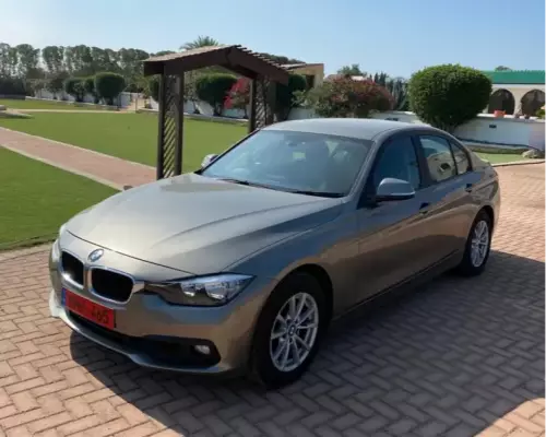 BMW 318d &pi;&rho;&omicron;&sigmaf; &epsilon;&nu;&omicron;&iota;&kappa;ί&alpha;&sigma;&eta; &sigma;&tau;&eta;&nu; &Epsilon;&lambda;&lambda;ά&delta;&alpha;